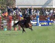 Bologni F Lovestar TosTour2013- S5 2303 : Arezzo, Arezzo Equestrian Centre, Bologni Filippo, Lovestar, Toscana Tour 2013, foto di Stefano Secchi ©